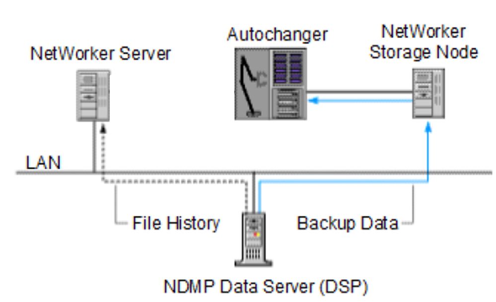 NetworkerDSA